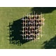 Interactive Maze Installations Image 2