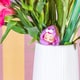 Onesie Character Collectibles Image 4