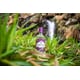 Premium Organic Spirits Packaging Image 1