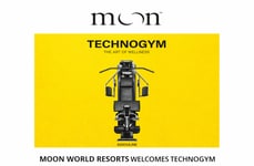 Holistic Sports Equipment Partnerships