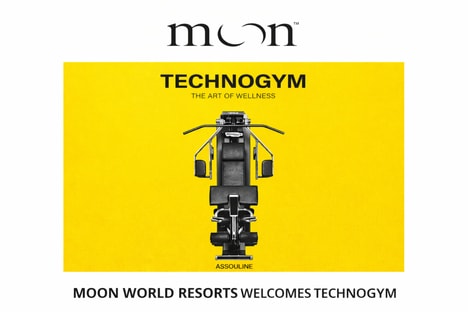 Holistic Sports Equipment Partnerships