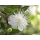 Longevity-Driven Skincare Image 1