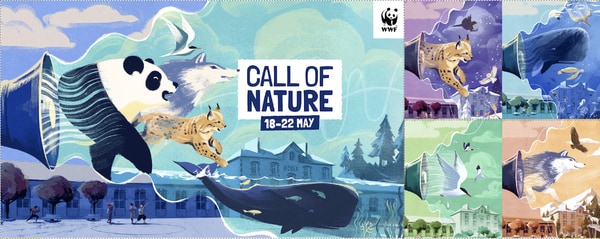 Youth Wildlife Initiatives