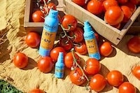 Plant-Derived Insect Repellent Ingredients