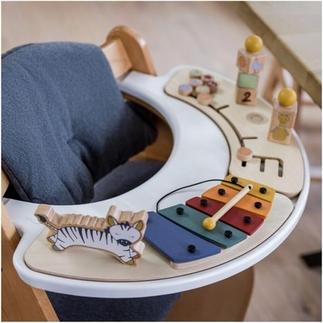 Enriching High Chair Accessories