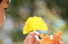 Screen-Free Language Toys