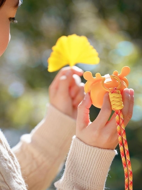 Screen-Free Language Toys