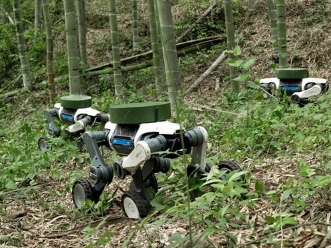 Ultra-Agile All-Terrain Robots
