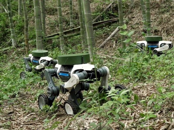 Ultra-Agile All-Terrain Robots