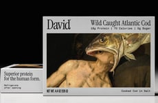 Nutrition-Driven Tinned Fish Products