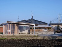 Open Timber Renovation Image 2