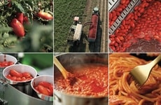 European Tomato-Focused Campaigns