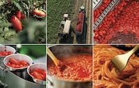 European Tomato-Focused Campaigns Image 1