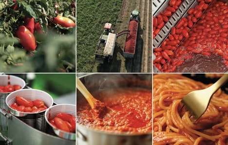 European Tomato-Focused Campaigns