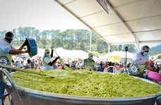 Record-Breaking Guacamole Bowls