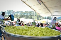 Record-Breaking Guacamole Bowls