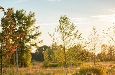 Reimagined Petrochemical Field Projects