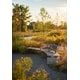 Reimagined Petrochemical Field Projects Image 1