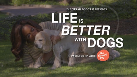 Dog-Focused Podcast Mini Series