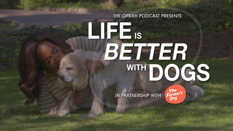 Dog-Focused Podcast Mini Series