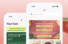 Grocery Budgeting Assistants