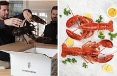 Family-Friendly Lobster Boxes