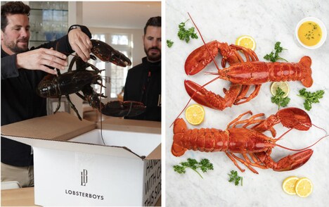 Family-Friendly Lobster Boxes