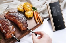 AI-Integrated Cooking Thermometers