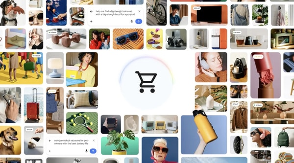 Agentic Commerce Platforms