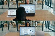 Dual Display Monitors