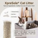 Upcycled Cat Litters Image 2