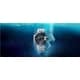 Polar-Inspired Diver Watch Designs Image 1