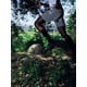 Targeted Compression Socks Image 2