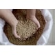 Fermented Malt Cocoa Alternatives Image 1