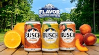Crowdsourced Light Lagers