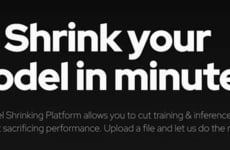 AI Model Optimization Tools