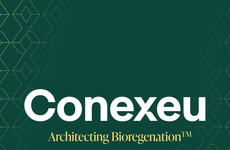 Regenerative Breast Matrix Platforms