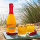 Spicy Mango Gins Image 1