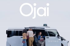 Driverless Robotaxis