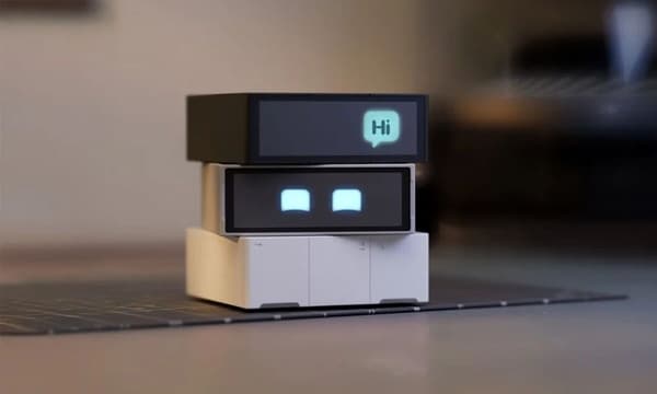 Customizable Desk Companions