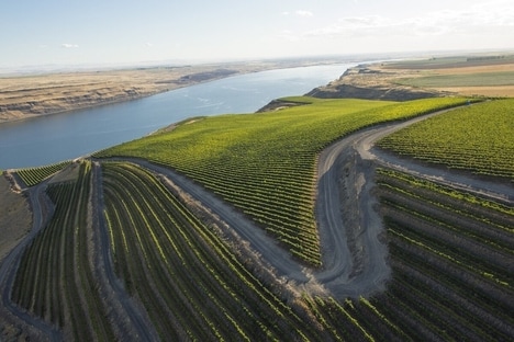 Regional Wine-Focused Councils
