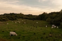 Swedish Longhouse Homes Image 2