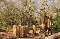 Woodland Play Structures