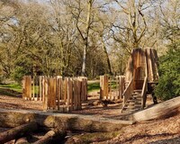 Woodland Play Structures