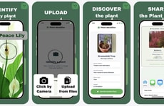 AI Plant Identification Tools