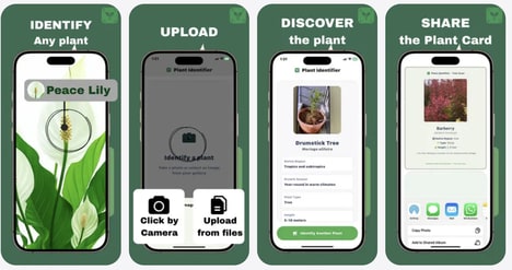 AI Plant Identification Tools