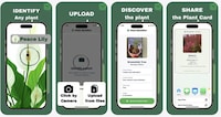 AI Plant Identification Tools