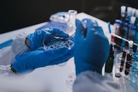 Lab-Grown Fertility Solutions Image 1
