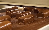 Cocoa Butter Equivalent Coatings
