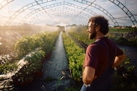 Regenerative Agriculture Programs Image 1